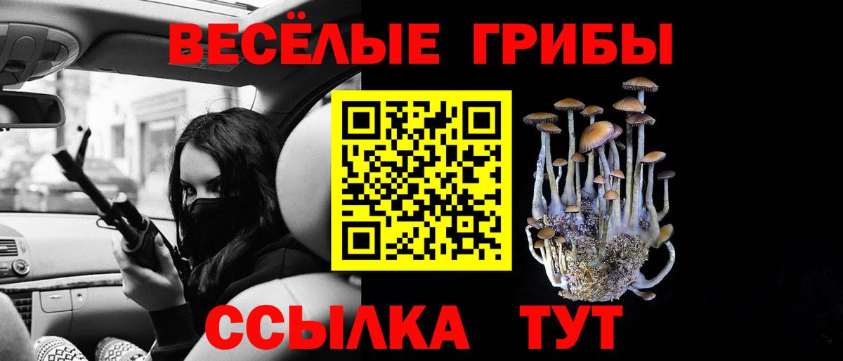 Галлюциногенные грибы мицелий  Вход с VPN  Вязьма  Псилоцибиновые грибы мицелий 